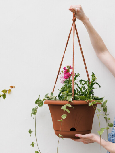 Lucca Hanging Basket