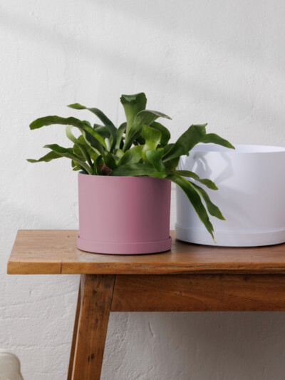 Mathers Drop-In Planter