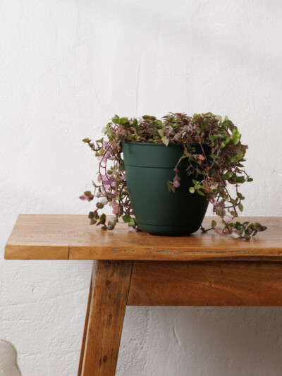 Dayton Planter