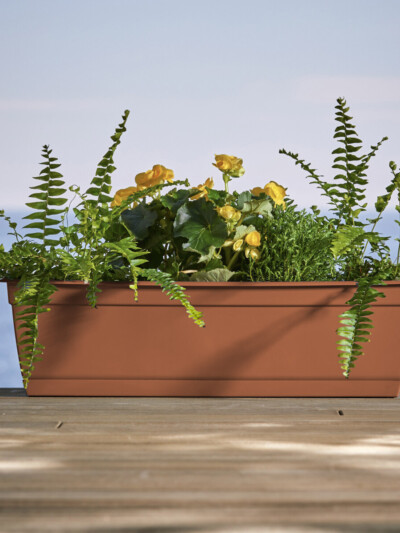 Dayton Window Box