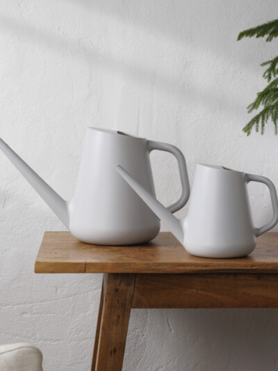 Fern Watering Can
