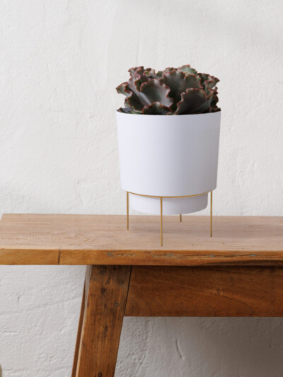 Hopson Planter