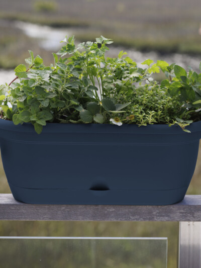 Lucca Window Box