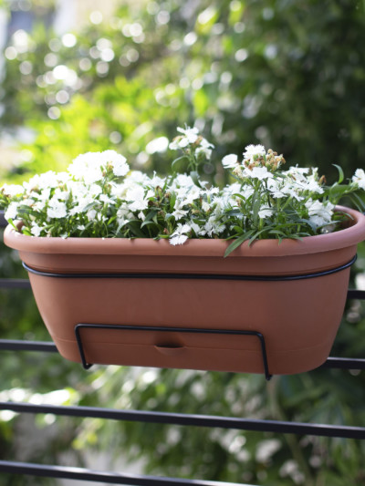 Lucca Balcony Box