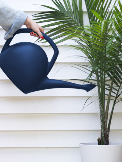 Rhino Watering Can
