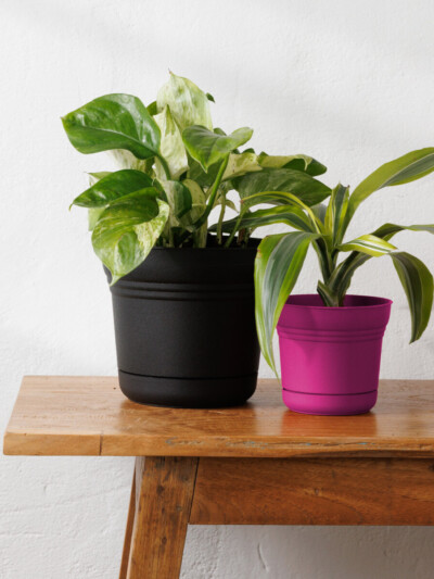 Saturn Planter