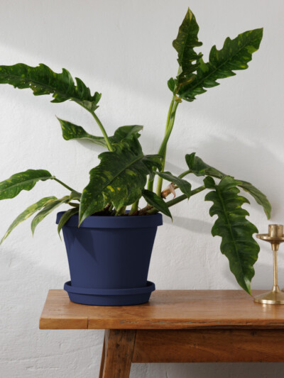 Terra Planter