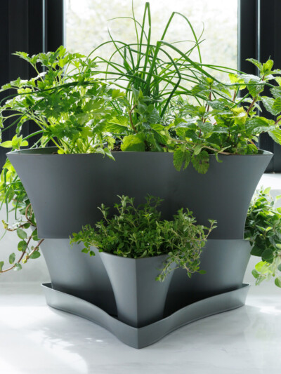 Collins Planter