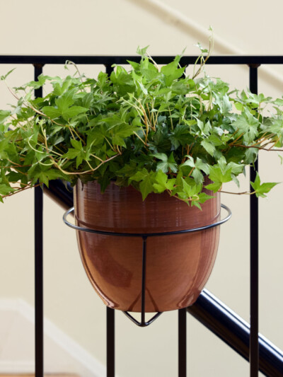 RailScapes Indoor / Outdoor Plant hanger