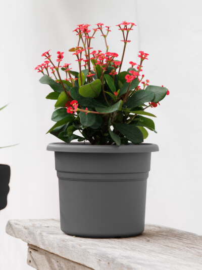 Posy Planter
