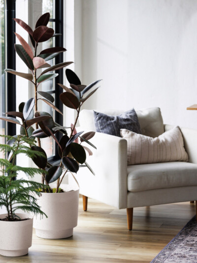 Harlow Planter