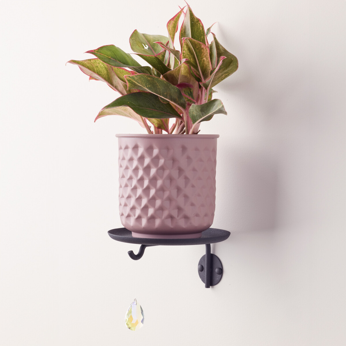 Lily Wall Shelf