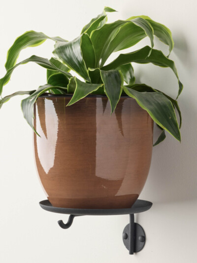 Lily Plant Shelf